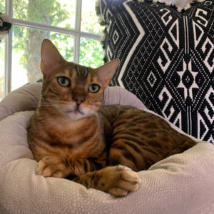 Meet your Posher, Jill